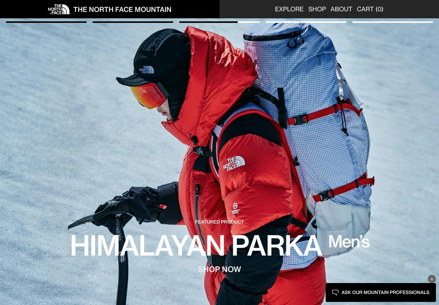 Cover Image for THE NORTH FACE MOUNTAIN