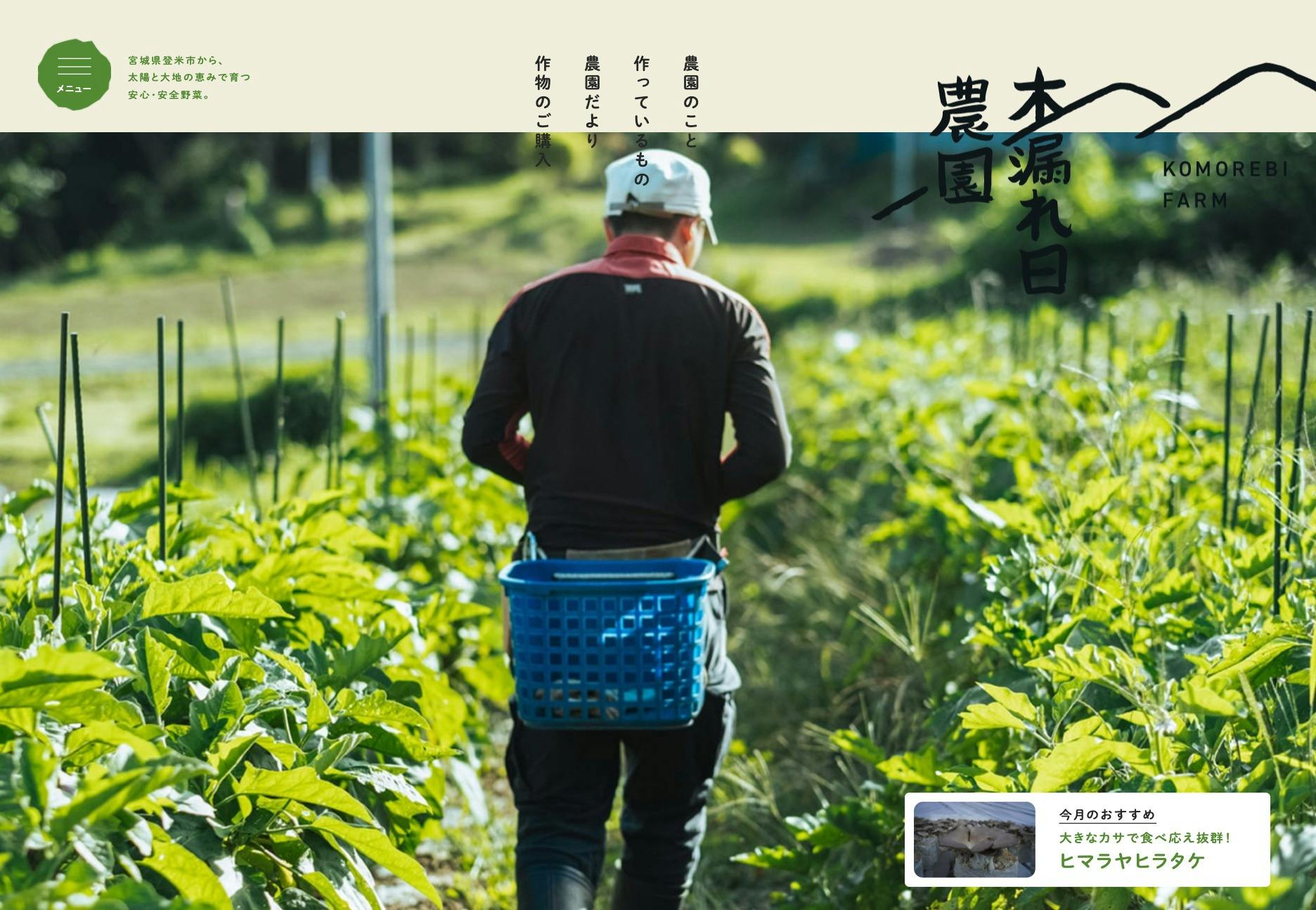 Cover Image for 宮城県登米市の新鮮野菜｜合同会社 木漏れ日農園