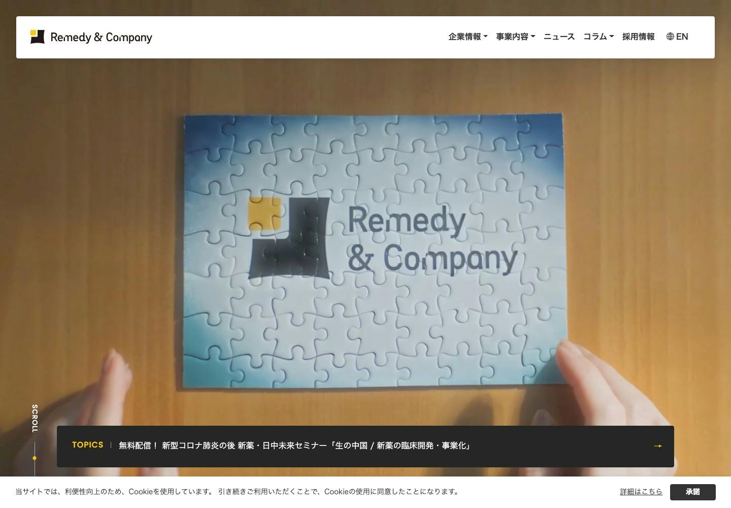 Cover Image for レメディ・アンド・カンパニー株式会社
