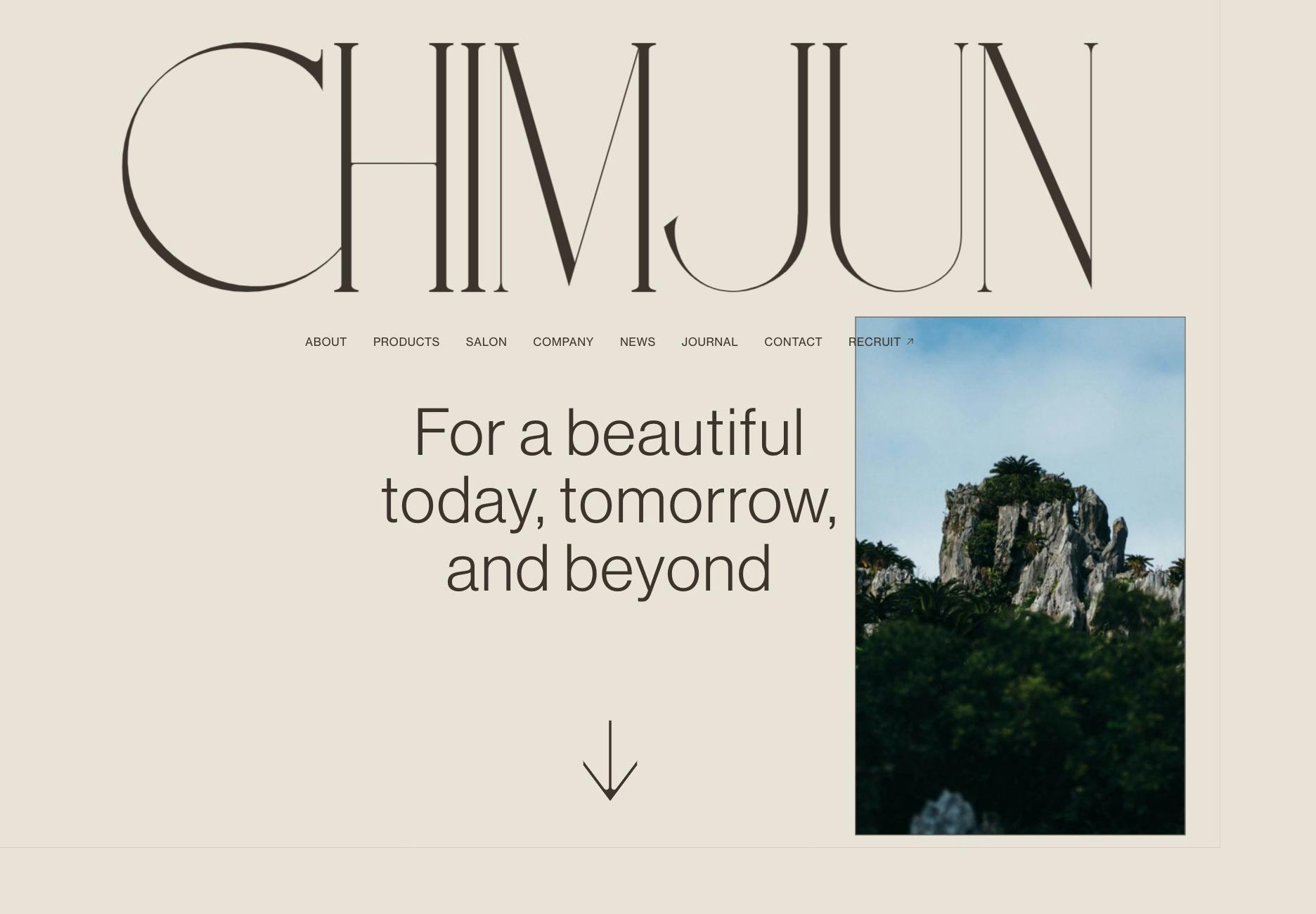 Cover Image for CHIMJUN